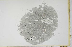 Plane Polarized, S22539