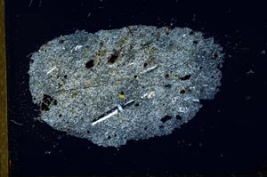 Cross Polarized, S22540