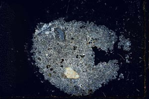 Cross Polarized, S22541