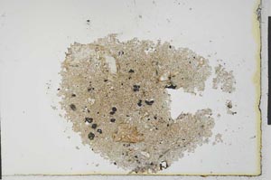 Plane Polarized, S22541