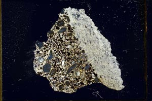 Cross Polarized, S22542