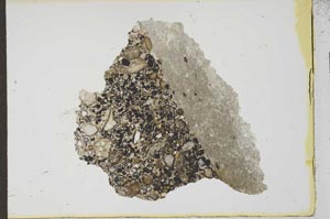 Plane Polarized, S22542