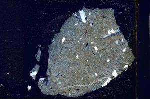 Cross Polarized, S22543