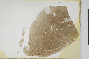 Plane Polarized, S22543