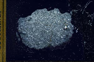 Cross Polarized, S22544