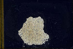 Cross Polarized, S22545