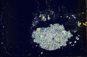 Cross Polarized, S22546