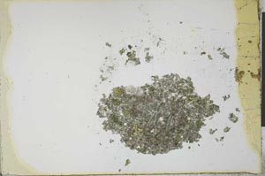 Plane Polarized, S22546