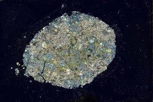 Cross Polarized, S22547