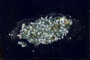 Cross Polarized, S22548