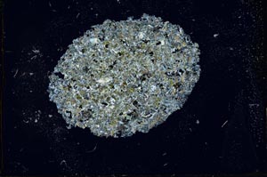 Cross Polarized, S22549