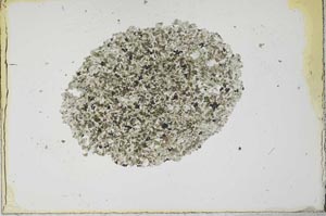 Plane Polarized, S22549