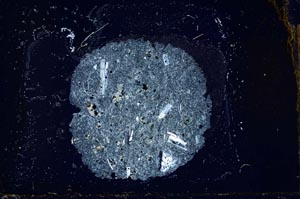 Cross Polarized, S22550