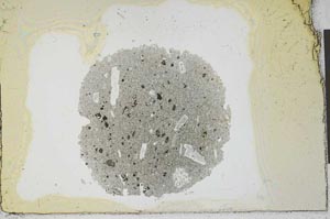 Plane Polarized, S22550