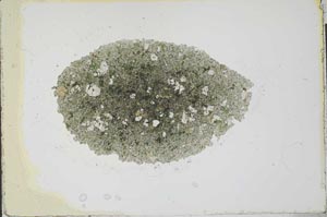 Plane Polarized, S22551