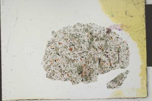 Plane Polarized, S22568
