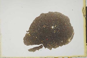 Plane Polarized, S22574