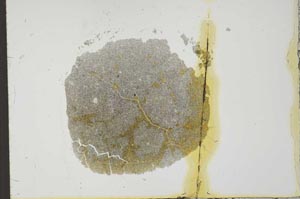 Plane Polarized, S22576