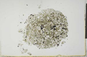 Plane Polarized, S22579