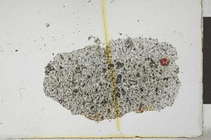 Plane Polarized, S22585