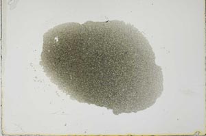 Plane Polarized, S22586