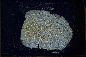 Cross Polarized, S22615
