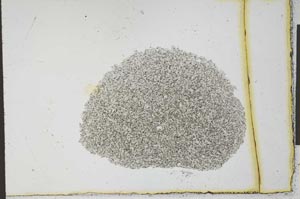 Plane Polarized, S22620