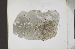 Plane Polarized, S22656