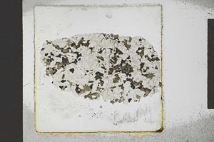 Plane Polarized, S22662