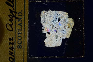 Cross Polarized, S22702