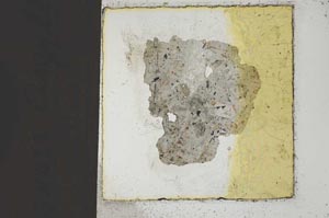 Plane Polarized, S22702