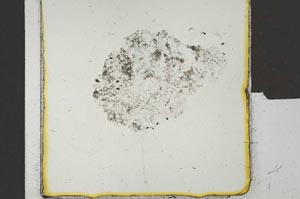 Plane Polarized, S22724