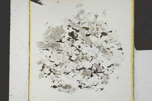 Plane Polarized, S22725