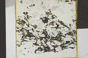 Plane Polarized, S22727