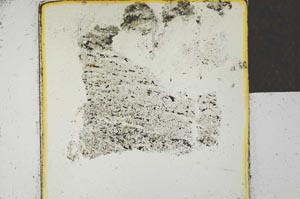 Plane Polarized, S22729/A