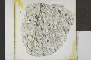 Plane Polarized, S22731