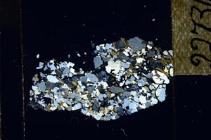 Cross Polarized, S22736