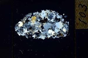 Cross Polarized, S22737