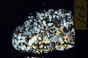 Cross Polarized, S22738