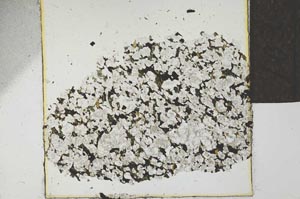 Plane Polarized, S22738