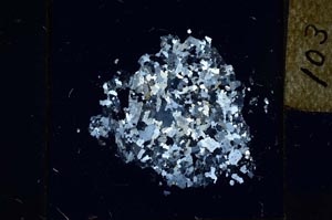 Cross Polarized, S22739