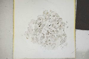 Plane Polarized, S22739