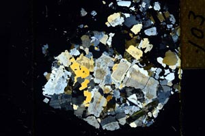 Cross Polarized, S22744