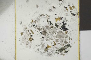 Plane Polarized, S22744