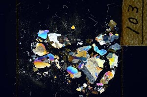 Cross Polarized, S22747/A