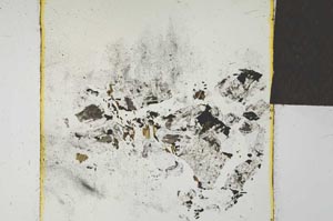 Plane Polarized, S22747/A