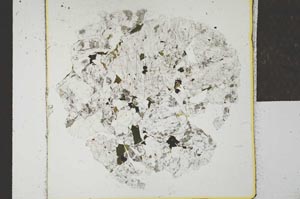 Plane Polarized, S22747/B