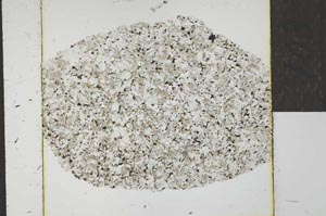 Plane Polarized, S22748