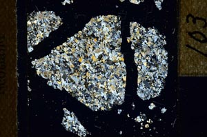 Cross Polarized, S22749