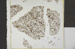 Plane Polarized, S22749